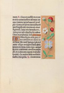 Horas de la Reina Isabel la Católica, Reina de España: Fol. 55r, c. 1500 de Master of the First Prayerbook of Maximillian