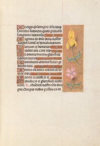 Horas de la Reina Isabel la Católica, Reina de España: Fol. 56r, c. 1500 de Master of the First Prayerbook of Maximillian