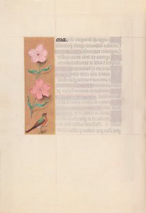 Horas de la Reina Isabel la Católica, Reina de España:  Fol. 56v de Master of the First Prayerbook of Maximillian