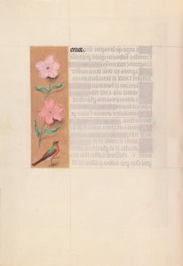 Horas de la Reina Isabel la Católica, Reina de España: Fol. 56v, c. 1500 de Master of the First Prayerbook of Maximillian