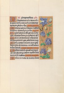 Horas de la Reina Isabel la Católica, Reina de España:  Fol. 59r