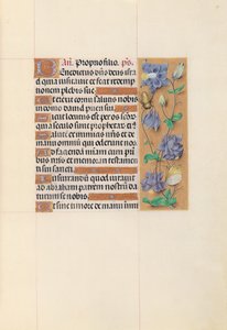 Horas de la Reina Isabel la Católica, Reina de España: Fol. 59r, c. 1500