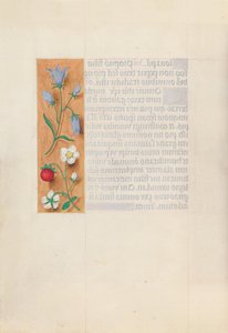 Horas de la Reina Isabel la Católica, Reina de España: Fol. 60v, c. 1500 de Master of the First Prayerbook of Maximillian