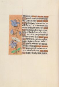 Horas de la Reina Isabel la Católica, Reina de España: Fol. 75v, c. 1500
