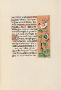 Horas de la Reina Isabel la Católica, Reina de España: Fol. 76r, c. 1500 de Master of the First Prayerbook of Maximillian