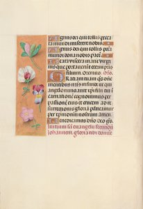 Horas de la Reina Isabel la Católica, Reina de España: Fol. 92v, c. 1500 de Master of the First Prayerbook of Maximillian