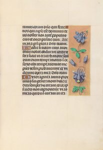 Horas de la Reina Isabel la Católica, Reina de España: Fol. 99r, c. 1500 de Master of the First Prayerbook of Maximillian