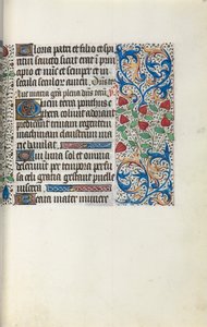 Libro de Horas Uso de Ruan: fol. 30r de Master of the Geneva Latini