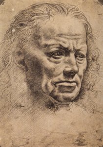 Cabeza de un hombre de Master of the Pala Sforzesca