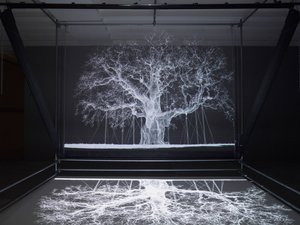 Albion, 2017 (Proyector, reproductor multimedia, andamio, película transparente, madera, pintura, espejo, accesorios de estiramiento)