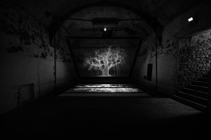 Albion, 2017 (Proyector, reproductor multimedia, andamio, película transparente, madera, pintura, espejo, accesorios de estiramiento) de Mat Collishaw