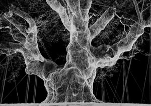 Albion, 2017 (Proyector, reproductor multimedia, andamio, película transparente, madera, pintura, espejo, accesorios de estiramiento) de Mat Collishaw