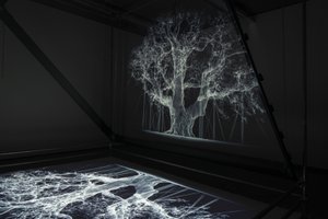 Albion, 2017 (Proyector, reproductor multimedia, andamio, película transparente, madera, pintura, espejo, accesorios de estiramiento) de Mat Collishaw