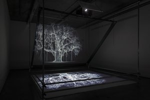 Albion, 2017 (Proyector, reproductor multimedia, andamio, película transparente, madera, pintura, espejo, accesorios de estiramiento) de Mat Collishaw