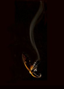 Burning Butterfly 15, 2013 (impresión Lambda)