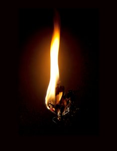 Burning Butterfly 23, 2013 (impresión Lambda)