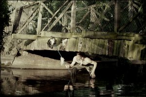 Atrapar hadas 1 de Mat Collishaw