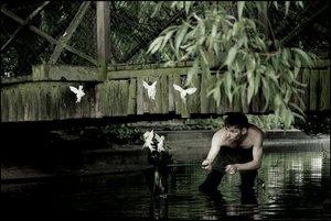 Atrapar hadas 6 de Mat Collishaw