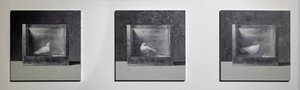 Operant Conditioning Chamber 3, 2022 (Óleo sobre panel de aluminio) de Mat Collishaw