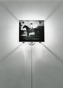 Caballos Stubbs de Mat Collishaw