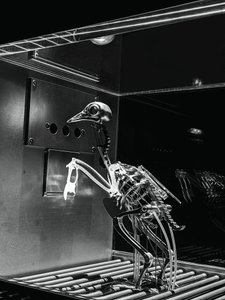 The Machine Zone, 2019 (Acero, aluminio, servomotores) de Mat Collishaw
