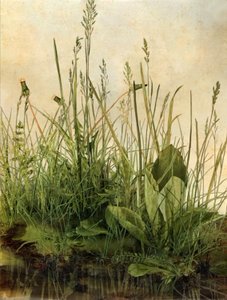 Whispering Weeds, 2011 (Marco de madera, borde, pantalla LCD, ventilador y disco duro)