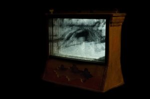 Wormery, 2009 (madera, vidrio, acero, proyector y reproductor) de Mat Collishaw
