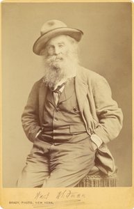 de Mathew B. Brady