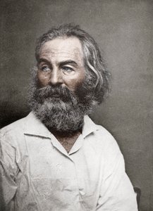Walt Whitman, poeta estadounidense, c. 1880s
