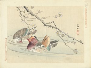 dos patos Bocetos de flores y pájaros de Keibun, primera parte (título de la serie) Keibun kacho gafu zen pen (título de la serie en el objeto) de Matsumura Keibun