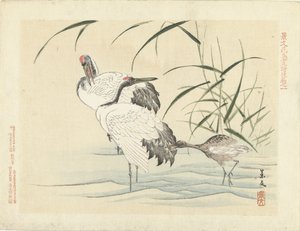 Dos grullas con joven Bocetos de flores y pájaros de Keibun - tercera parte (título de la serie) Keibun kacho gafu kohen (título de la serie sobre el objeto)