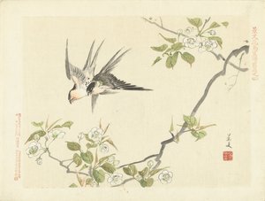 dos golondrinas Bocetos de flores y pájaros de Keibun, primera parte (título de la serie) Keibun kacho gafu zen pen (título de la serie en el objeto) de Matsumura Keibun