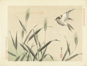 Pájaro volando en pastos Bocetos de flores y pájaros de Keibun, primera parte (título de la serie) Keibun kacho gafu zen pen (título de la serie en el objeto) de Matsumura Keibun