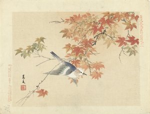Pájaro volando por ramas de otoño Bocetos de flores y pájaros de Keibun, primera parte (título de la serie) Keibun kacho gafu zen pen (título de la serie en el objeto) de Matsumura Keibun