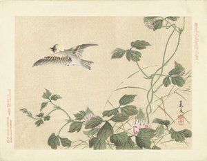 Pájaro volando en la enredadera con flores rosas Bocetos de flores y pájaros de Keibun - tercera parte (título de la serie) Keibun kacho gafu kohen (título de la serie sobre el objeto)