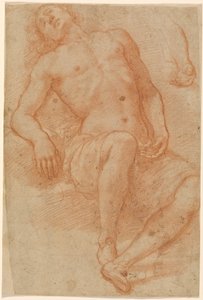 Un desnudo masculino, medio reclinado de Matteo Rosselli