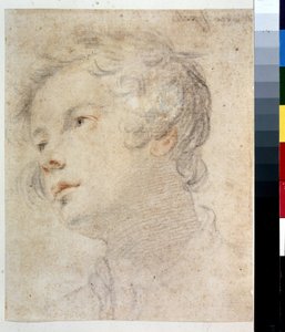 Cabeza de un niño. Pintura de Matteo Rosselli (1578-1650). Tiza y tiza roja sobre papel de Matteo Rosselli