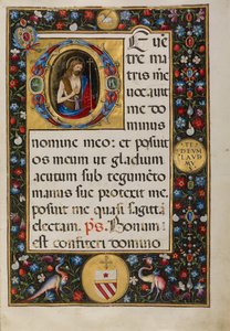 Inicial D: San Juan Bautista de Matteo da Milano