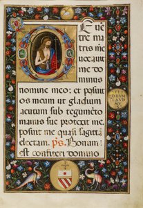 San Juan Bautista de Matteo da Milano