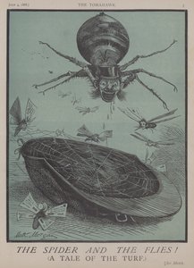 ¡La Araña y las Moscas! de Matthew