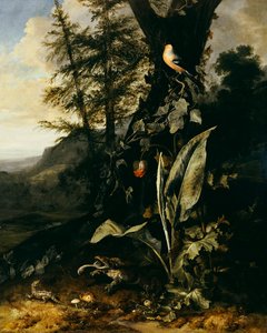 Un suelo de bosque con un sapo y un lagarto, un camachuelo en una rama de hiedra arriba, y una montaña al fondo de Matthias Withoos