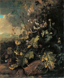 Suelo del bosque con mariposas y lagartijas de Matthias Withoos