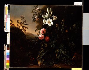 Naturaleza muerta, c.1670 (óleo sobre lienzo) de Matthias Withoos