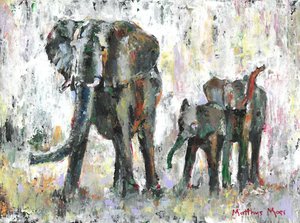 Familia de elefantes africanos de Matthys Moss