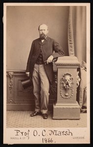 Retrato de Othniel Charles Marsh 1831-1879, 1866 de Maull and Co