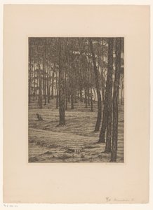 Dennenbosch I (título original del objeto)
Bos (título original) de Maurits van der Valk (signed by artist)