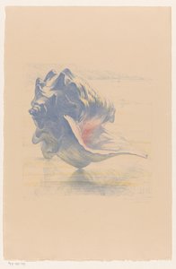 Schelp de Maurits van der Valk (signed by artist)