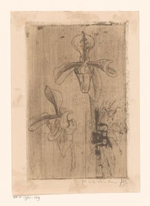 Dos orquídeas y un carro en la playa de Maurits van der Valk (signed by artist)