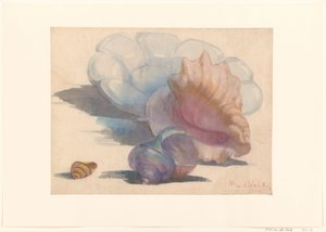 Tres conchas en un plato plisado de Delft de Maurits van der Valk
