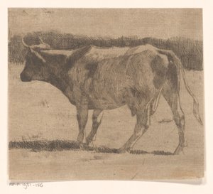 Vaca en un prado de Maurits van der Valk